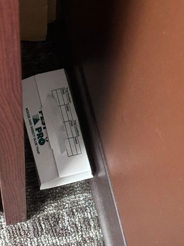 Buford-Georgia-Pest-Control-Service-101
