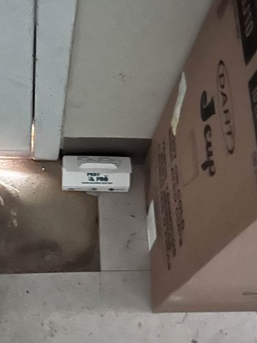 Buford-Georgia-Pest-Control-Service-103