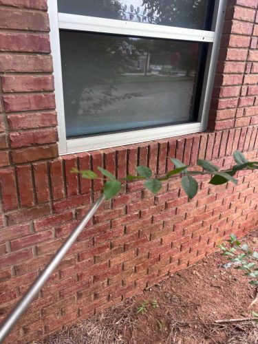 Buford-Georgia-Pest-Control-Service-105