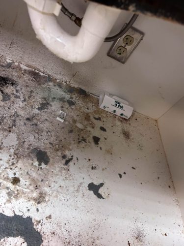 Buford-Georgia-Pest-Control-Service-114