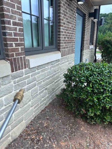 Buford-Georgia-Pest-Control-Service-116