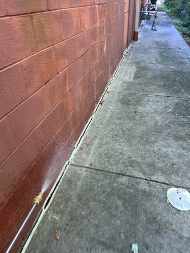 Buford-Georgia-Pest-Control-Service-12