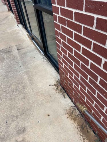 Buford-Georgia-Pest-Control-Service-121