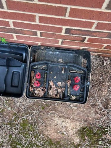 Buford-Georgia-Pest-Control-Service-127