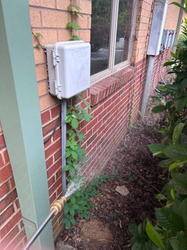 Buford-Georgia-Pest-Control-Service-131