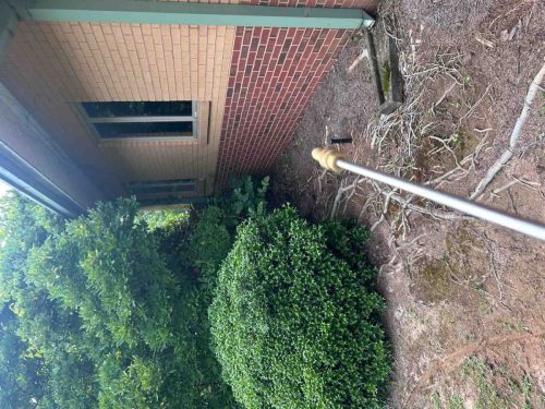 Buford-Georgia-Pest-Control-Service-132