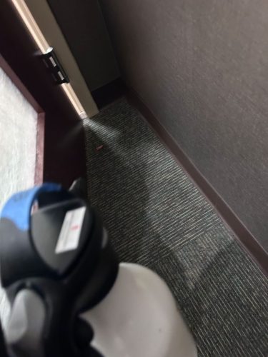 Buford-Georgia-Pest-Control-Service-133