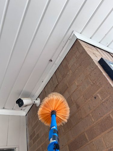 Buford-Georgia-Pest-Control-Service-14