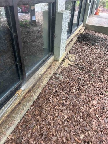 Buford-Georgia-Pest-Control-Service-147