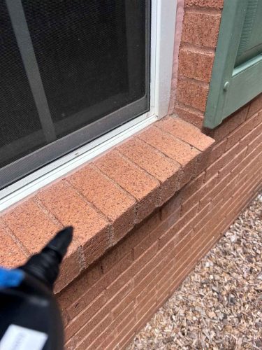 Buford-Georgia-Pest-Control-Service-152