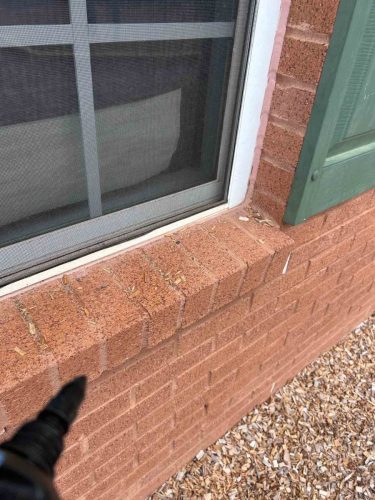 Buford-Georgia-Pest-Control-Service-153