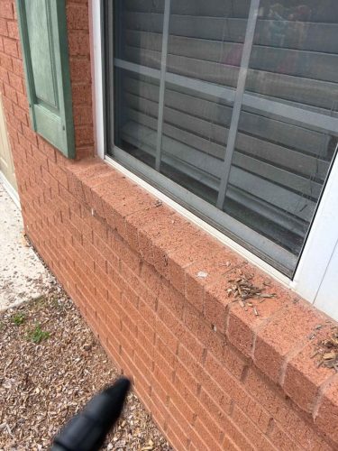 Buford-Georgia-Pest-Control-Service-157