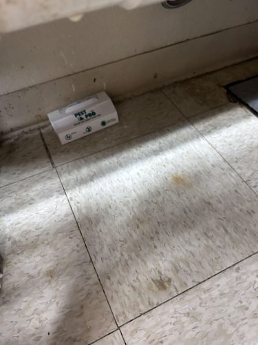 Buford-Georgia-Pest-Control-Service-160