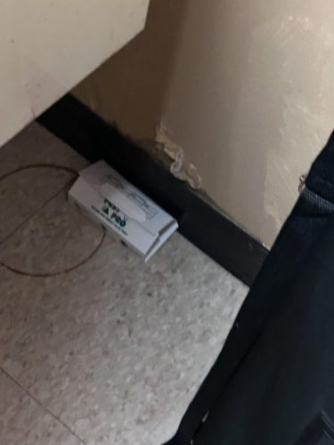 Buford-Georgia-Pest-Control-Service-162