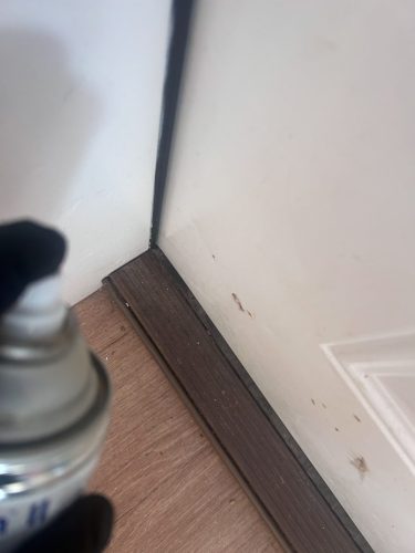 Buford-Georgia-Pest-Control-Service-166