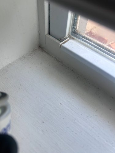 Buford-Georgia-Pest-Control-Service-169