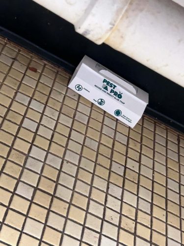 Buford-Georgia-Pest-Control-Service-17