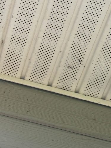 Buford-Georgia-Pest-Control-Service-171