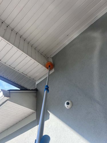 Buford-Georgia-Pest-Control-Service-172