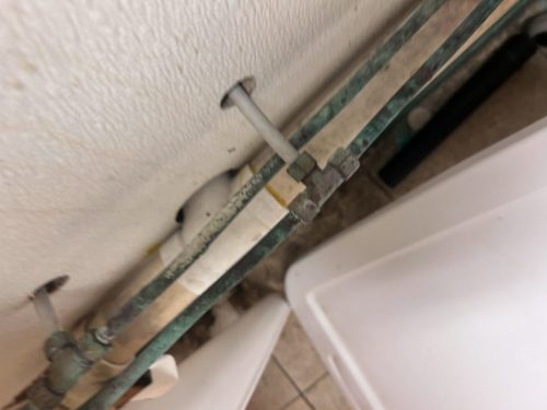 Buford-Georgia-Pest-Control-Service-178