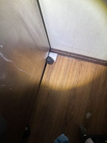 Buford-Georgia-Pest-Control-Service-185