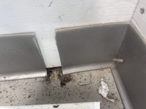 Buford-Georgia-Pest-Control-Service-189