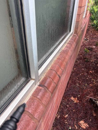 Buford-Georgia-Pest-Control-Service-190