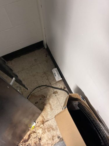 Buford-Georgia-Pest-Control-Service-20