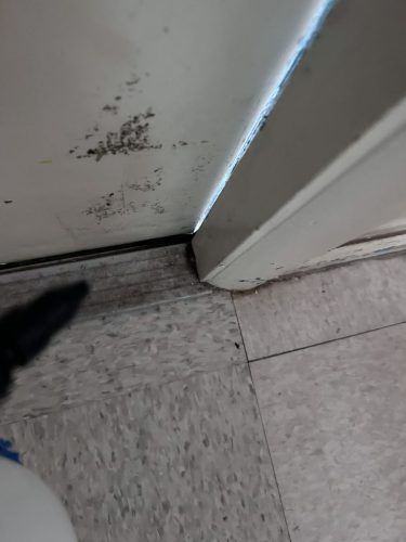 Buford-Georgia-Pest-Control-Service-200