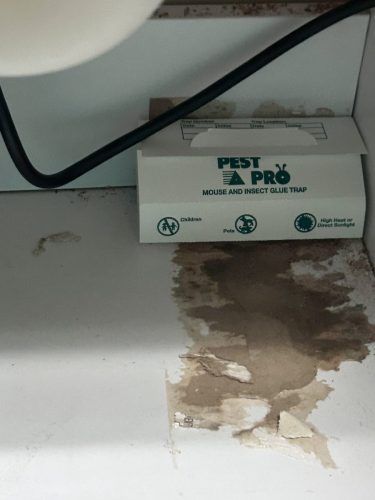 Buford-Georgia-Pest-Control-Service-201