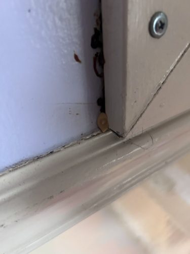 Buford-Georgia-Pest-Control-Service-202