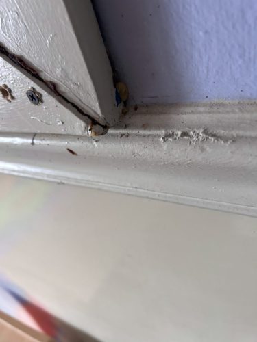 Buford-Georgia-Pest-Control-Service-204