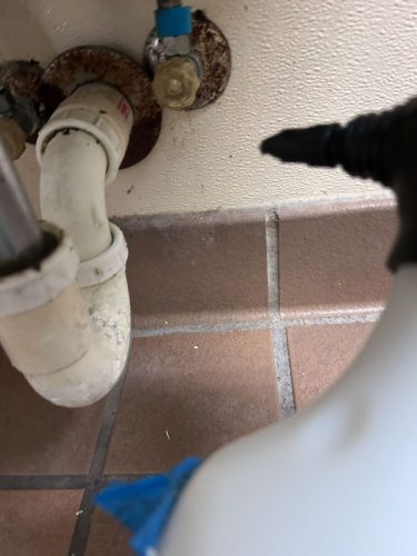 Buford-Georgia-Pest-Control-Service-205