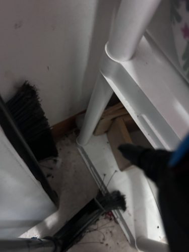 Buford-Georgia-Pest-Control-Service-206