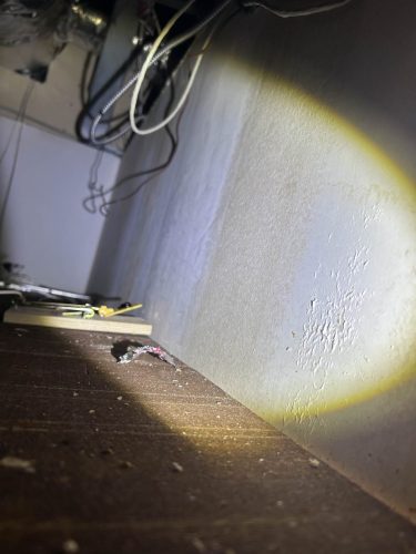 Buford-Georgia-Pest-Control-Service-208
