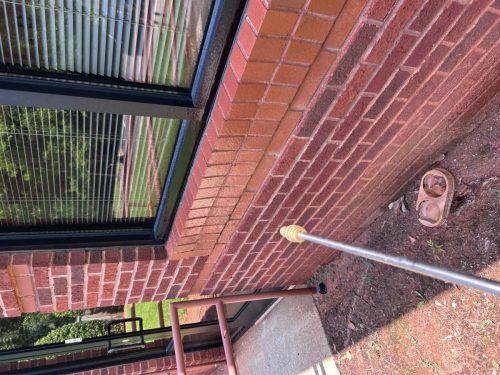 Buford-Georgia-Pest-Control-Service-212