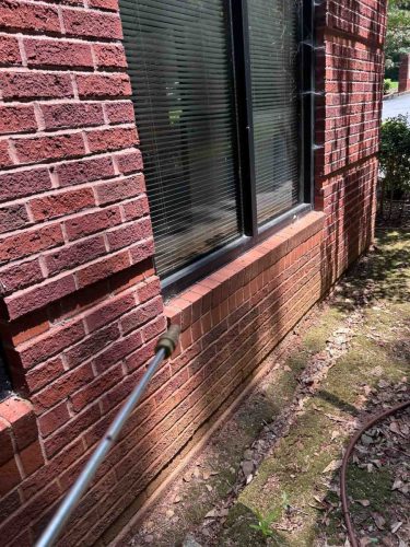 Buford-Georgia-Pest-Control-Service-213