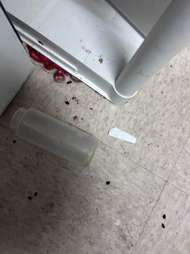 Buford-Georgia-Pest-Control-Service-222