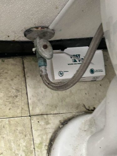 Buford-Georgia-Pest-Control-Service-227