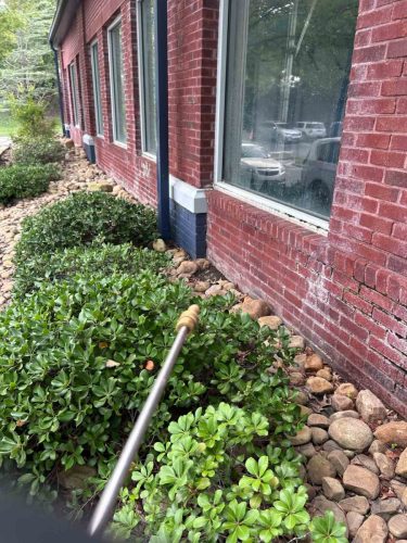 Buford-Georgia-Pest-Control-Service-229