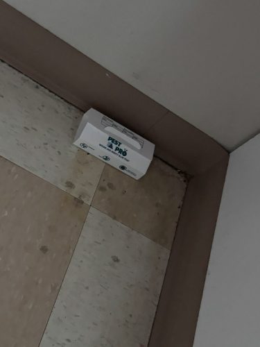Buford-Georgia-Pest-Control-Service-23