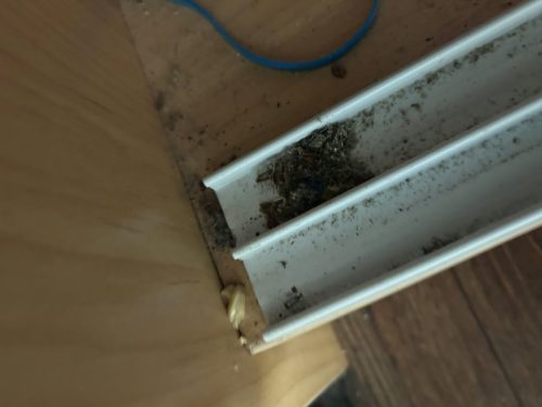 Buford-Georgia-Pest-Control-Service-234