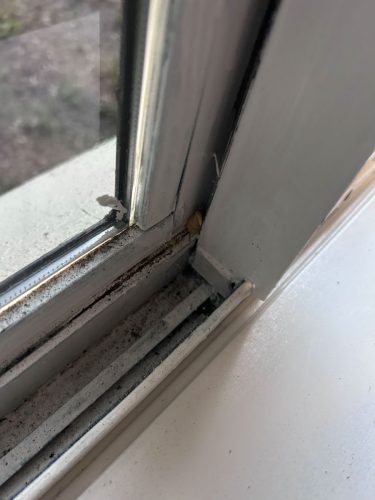 Buford-Georgia-Pest-Control-Service-236