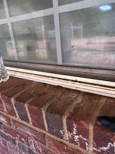Buford-Georgia-Pest-Control-Service-239