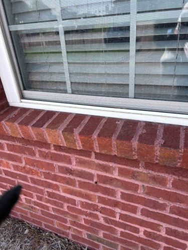 Buford-Georgia-Pest-Control-Service-245