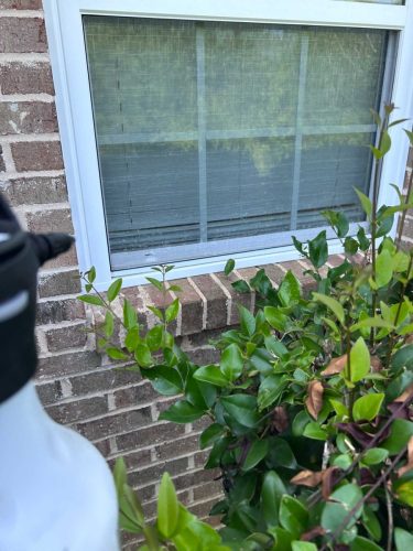 Buford-Georgia-Pest-Control-Service-247