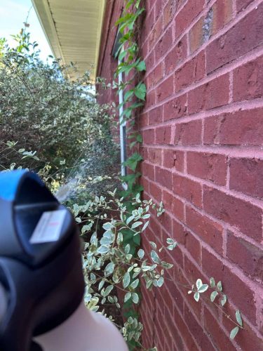 Buford-Georgia-Pest-Control-Service-248