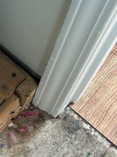 Buford-Georgia-Pest-Control-Service-252