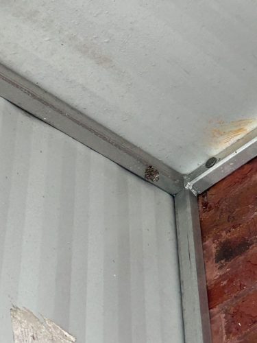 Buford-Georgia-Pest-Control-Service-261