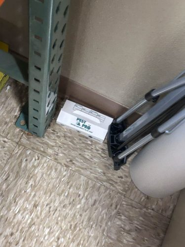 Buford-Georgia-Pest-Control-Service-266